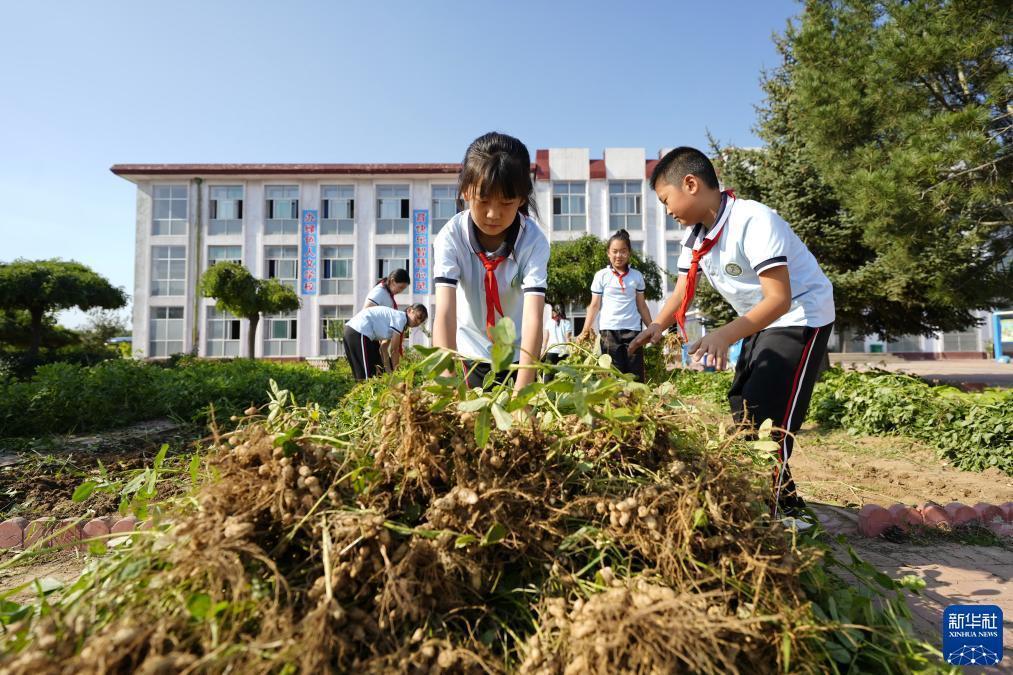 奥门永利电子游戏平台